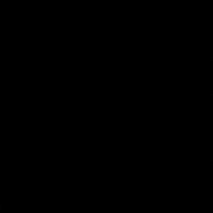 Meet your Posher, Hunter